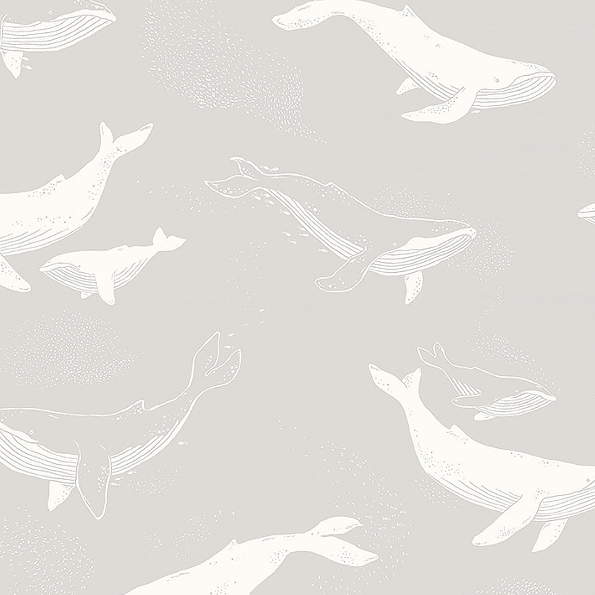 WHALES-GREY-SCHUMACHER-7452