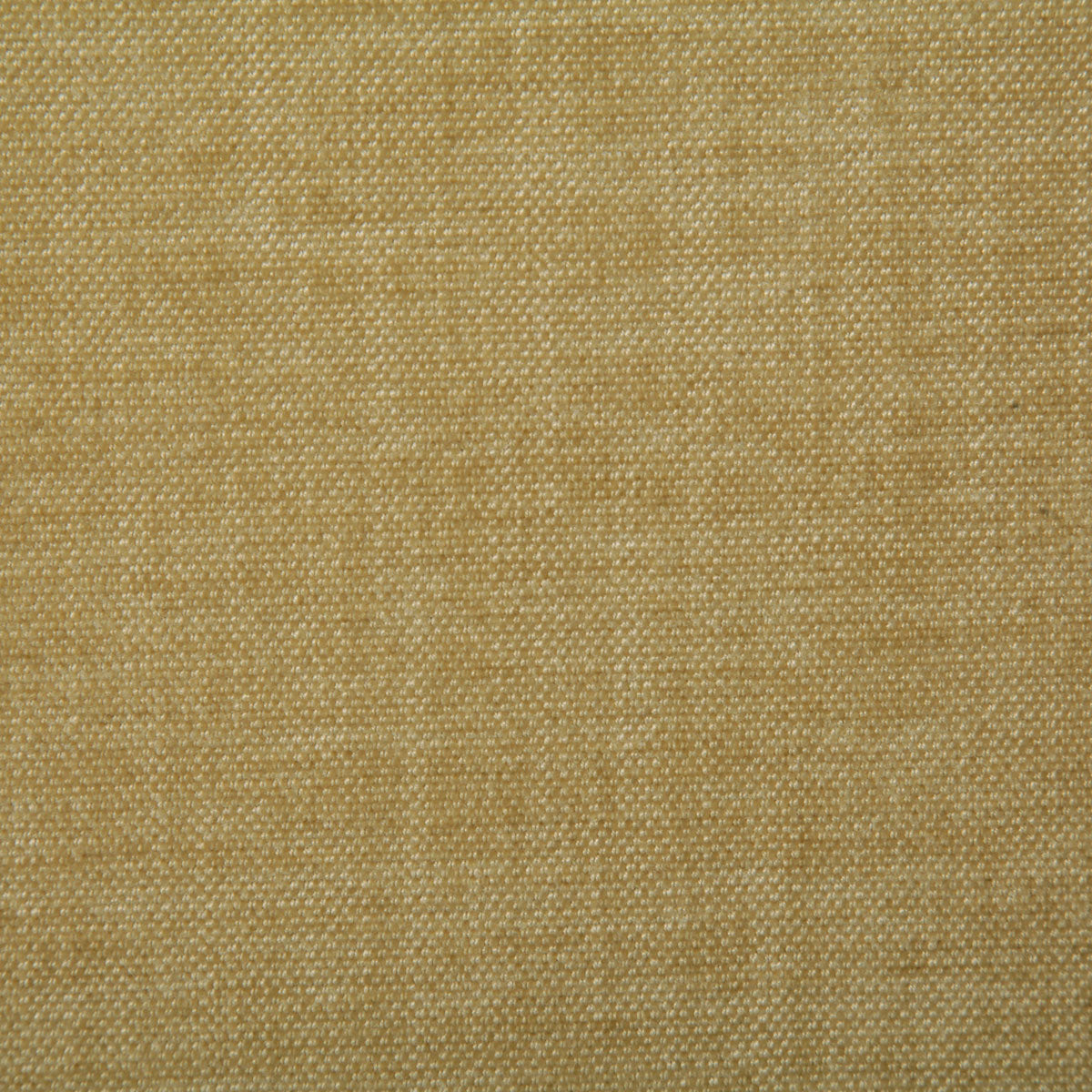 7533-peyton-straw-pindler - Pindler Fabric
