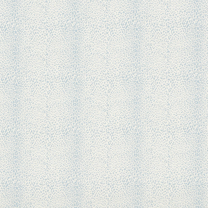 MINI-LEOPARD-OUTDOOR-SKY-SCHUMACHER-75432
