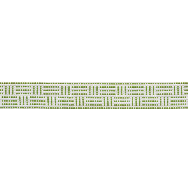 BRICKELL-TAPE-INDOOR-OUTDOOR-LEAF-SCHUMACHER-75961 - Schumacher Trim