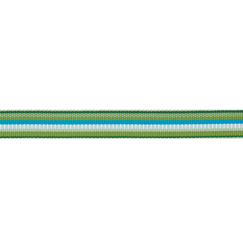 PRIMAVERA-TAPE-NARROW-MEADOW-SCHUMACHER-75980 - Schumacher Recortar