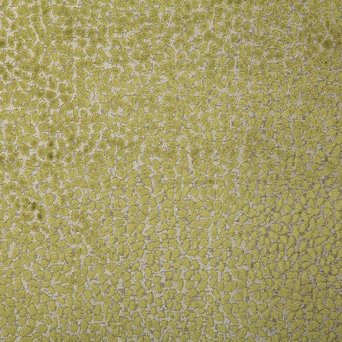 7643-cole-olive-pindler - Pindler Fabric