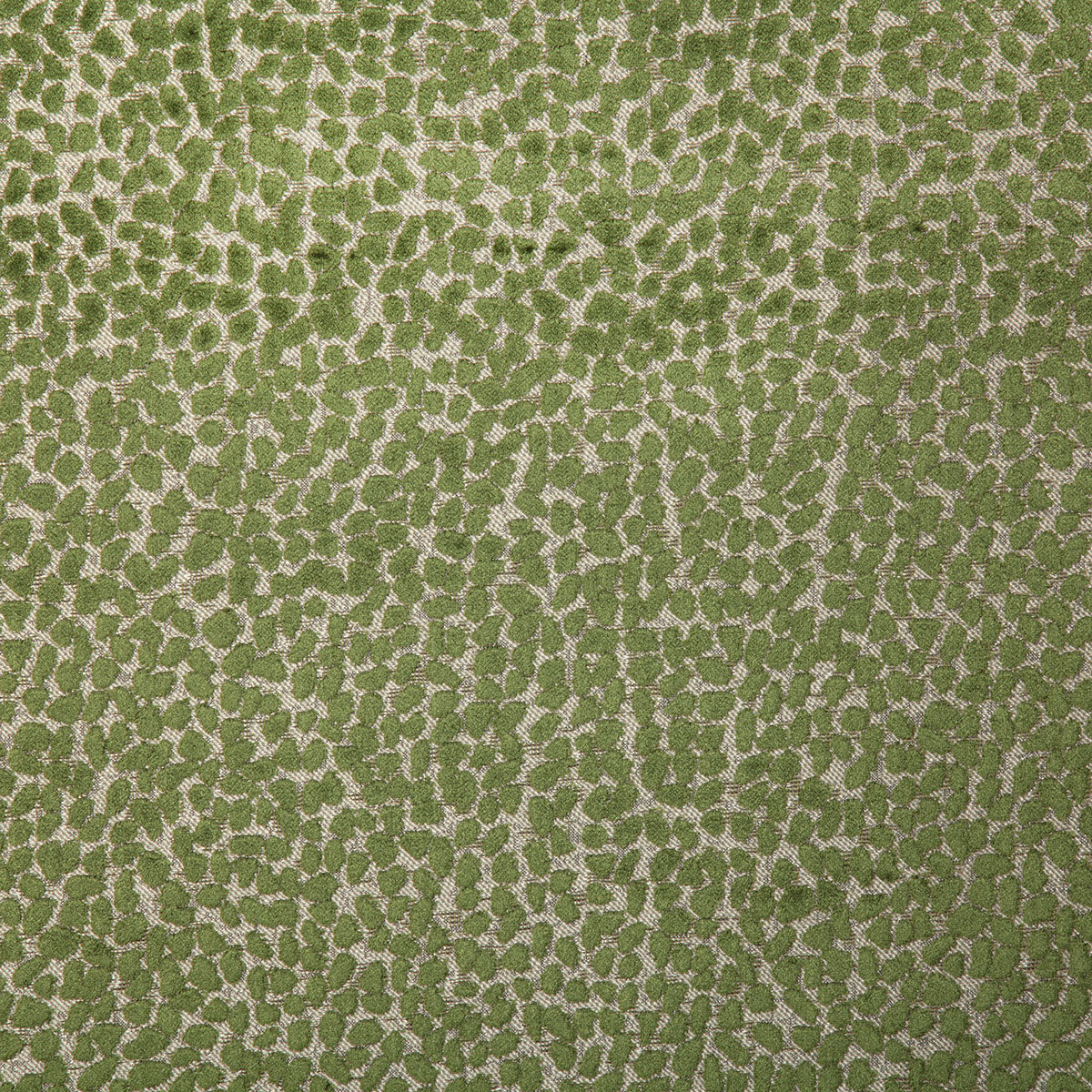 7643-cole-palm-pindler - Pindler Fabric