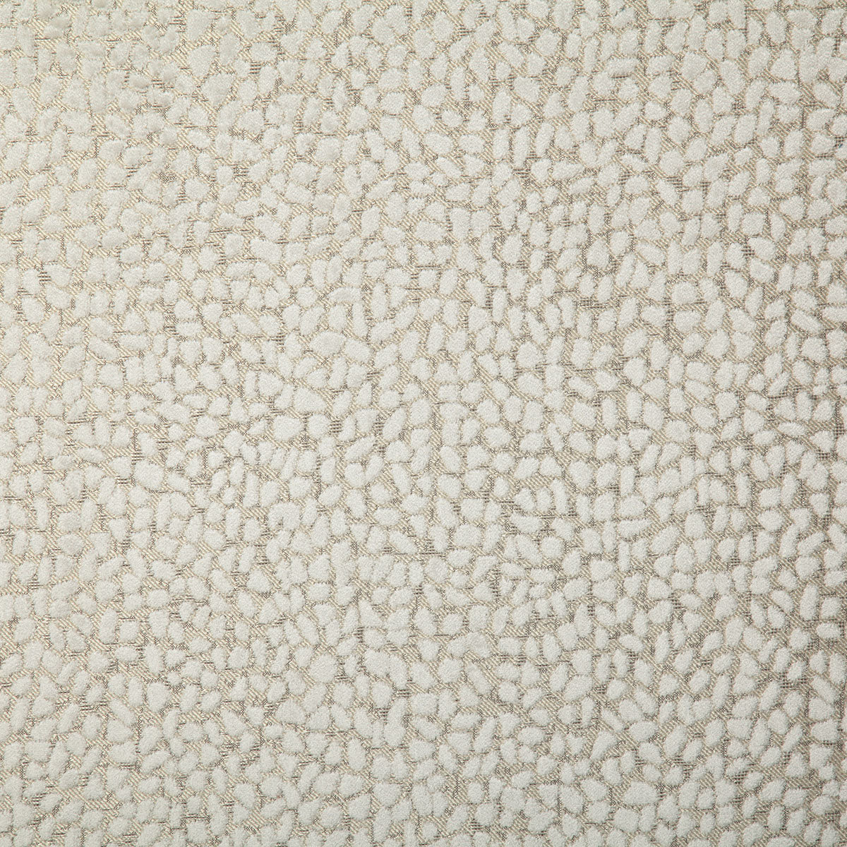 7643-cole-tusk-pindler - Pindler Fabric