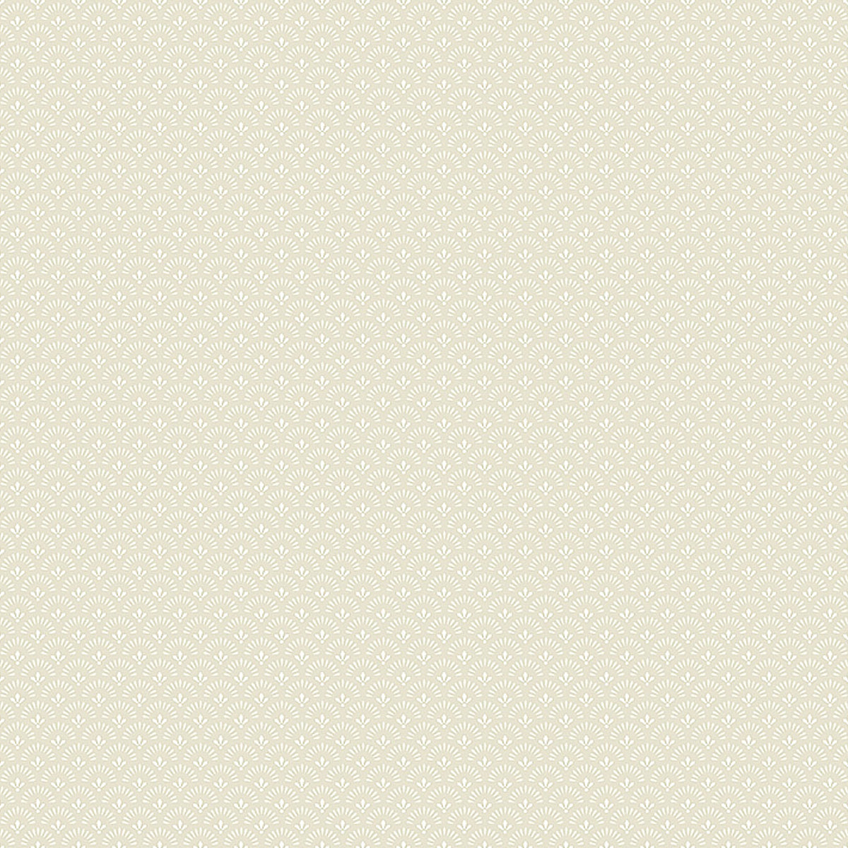 DAISY-PARCHMENT-SCHUMACHER-7653