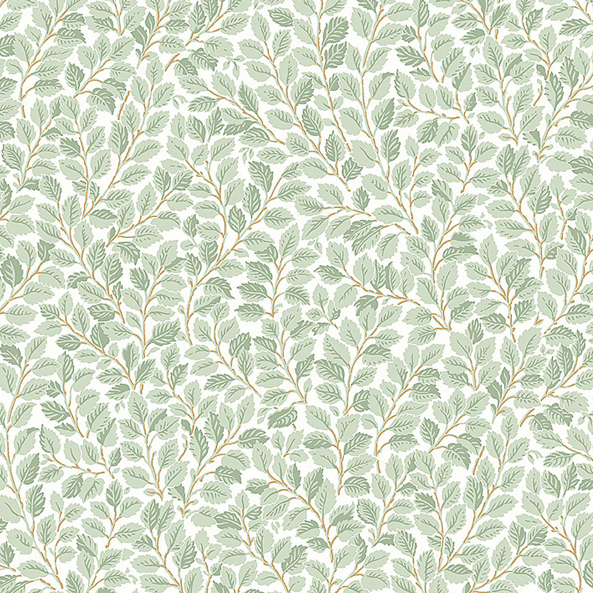 HAZEL-IVORY-SCHUMACHER-7662