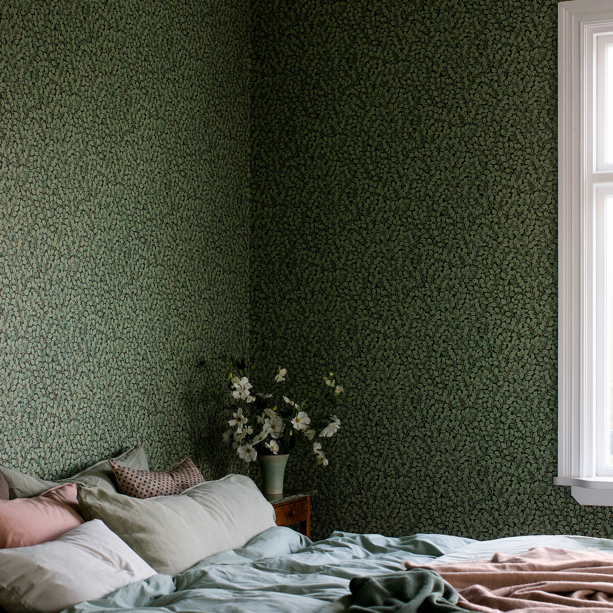 HAZEL-SPRUCE-SCHUMACHER-7663