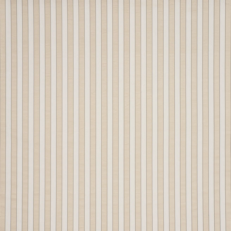 RIBBON-STRIPE-CHAMPAGNE-SCHUMACHER-77101