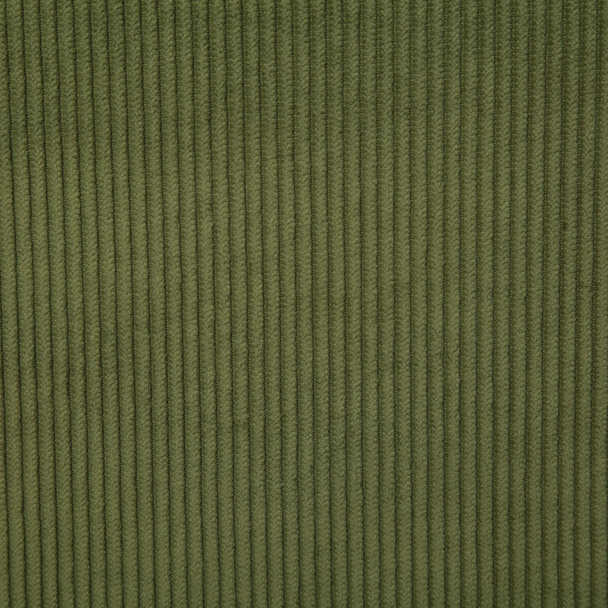 7746-corduroy-palm-pindler