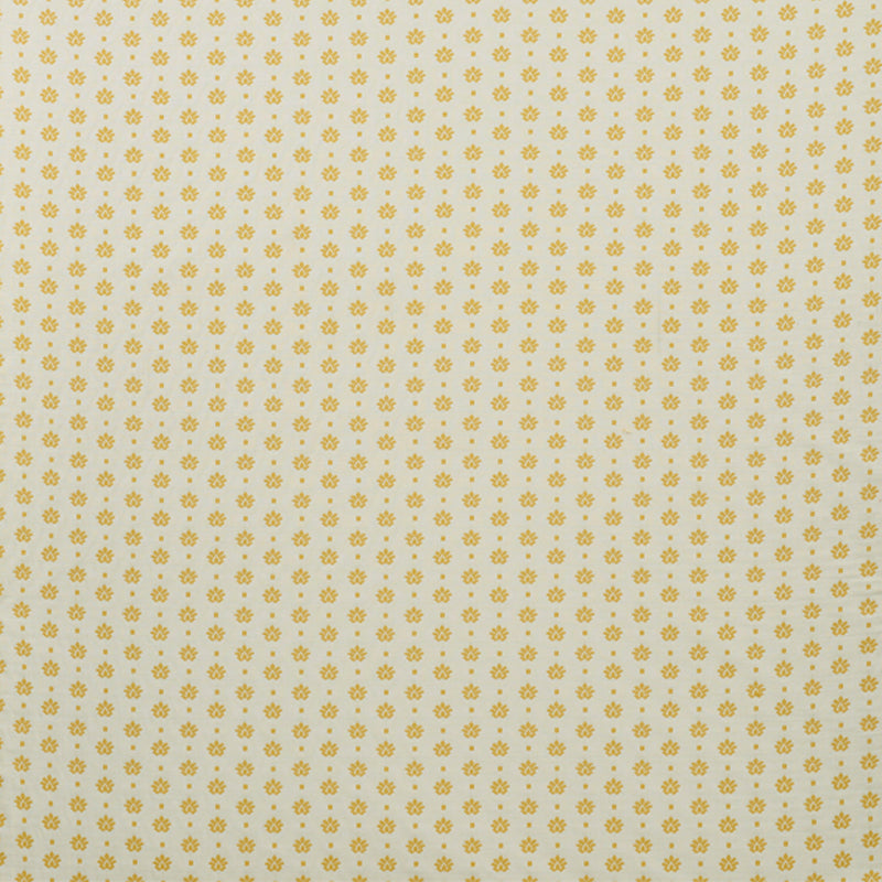 BRUNEL-YELLOW-SCHUMACHER-77532
