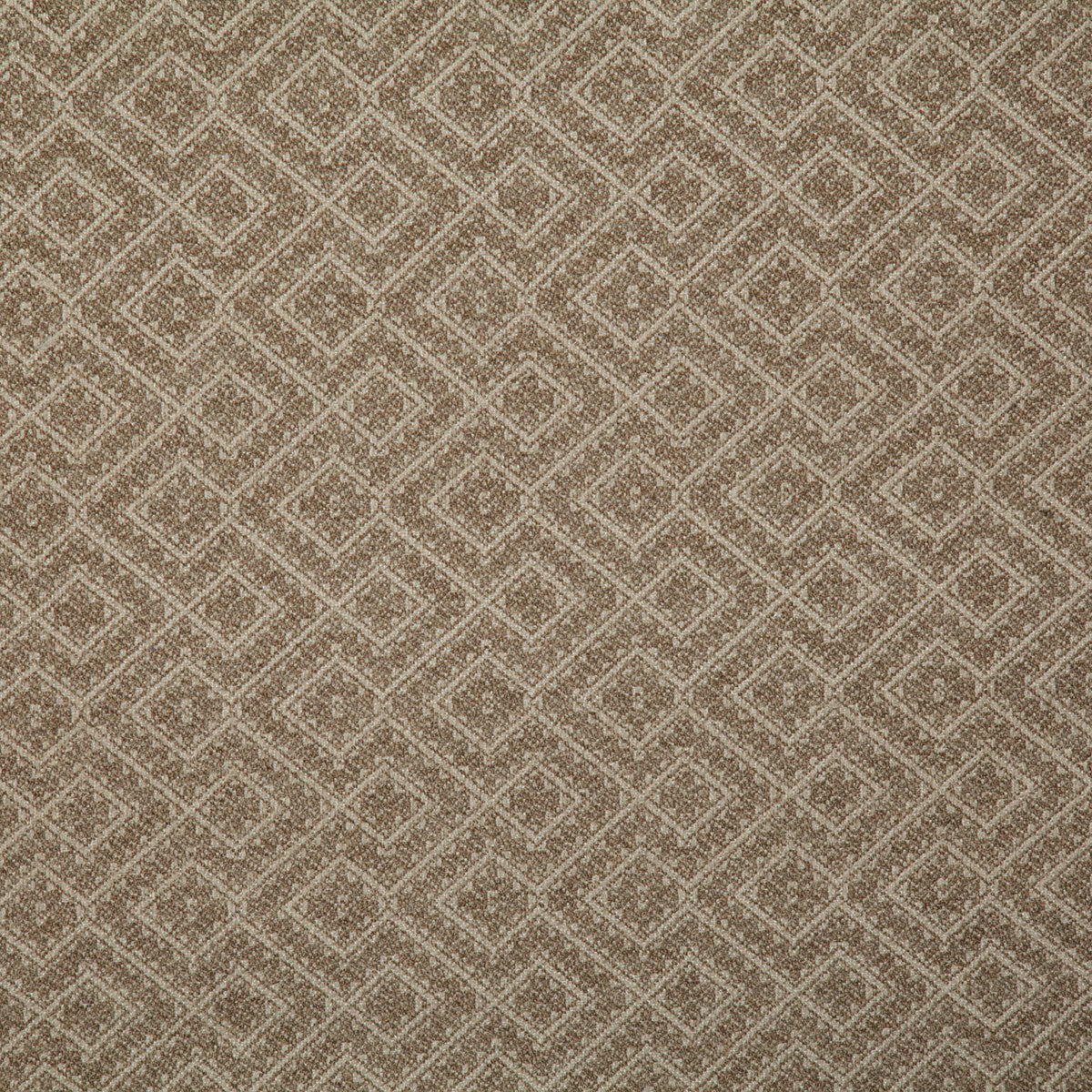 7776-netta-mushroom-pindler