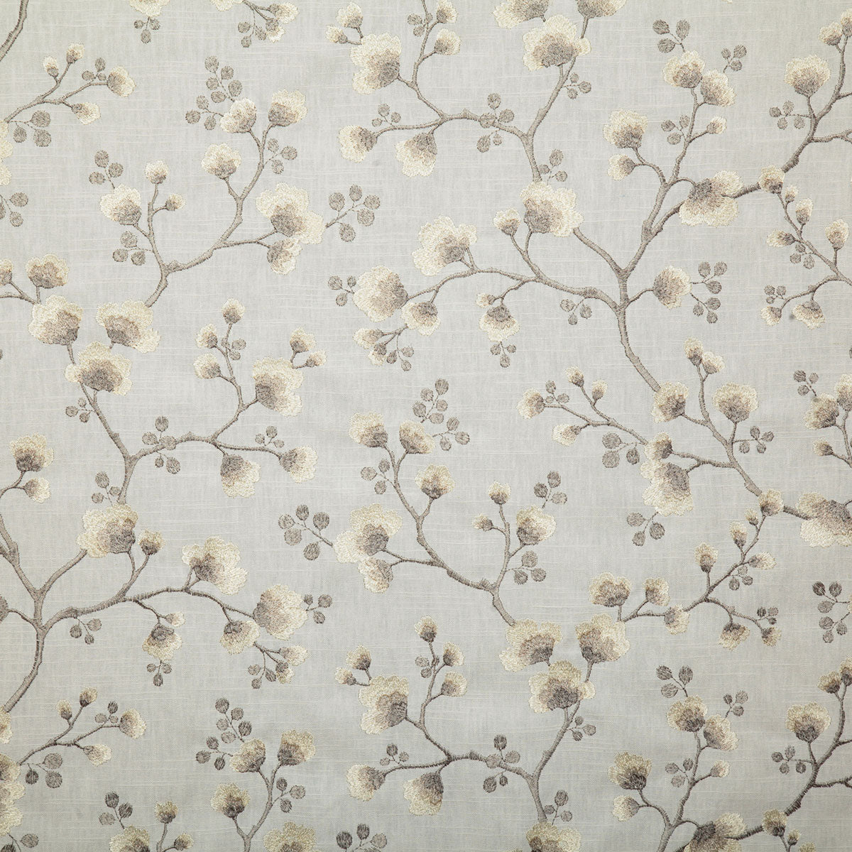 7792-hermia-dove-pindler