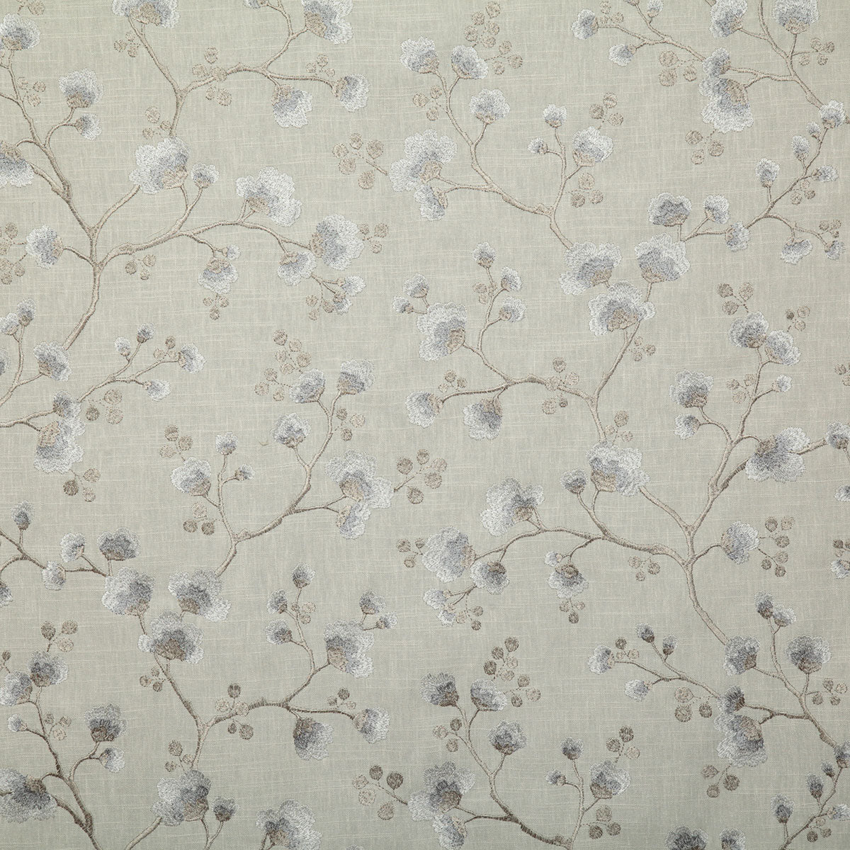 7792-hermia-haze-pindler
