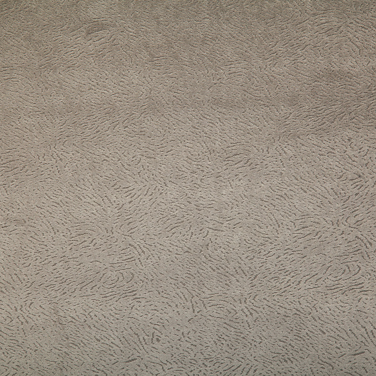7798-multon-dove-pindler - Pindler Fabric