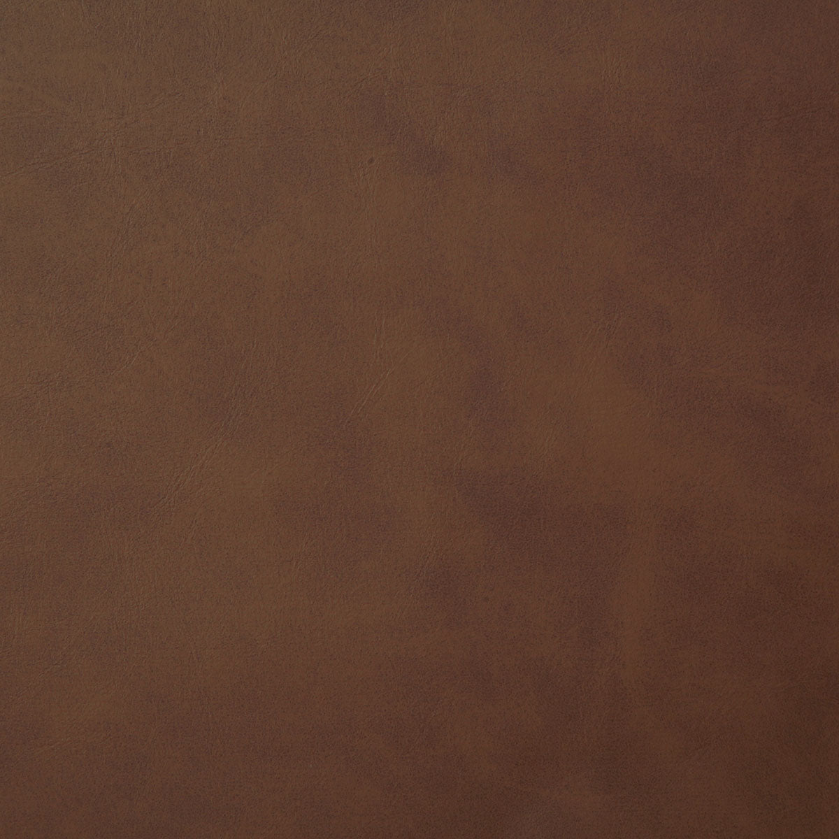 7878-yeehaw-cognac-pindler - Pindler Fabric