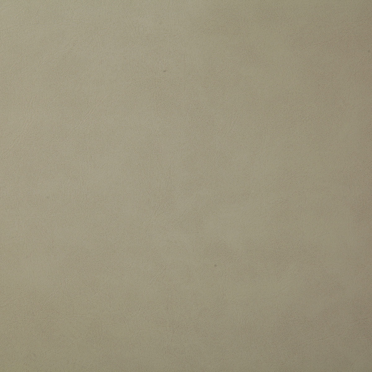 7878-yeehaw-oyster-pindler - Pindler Fabric
