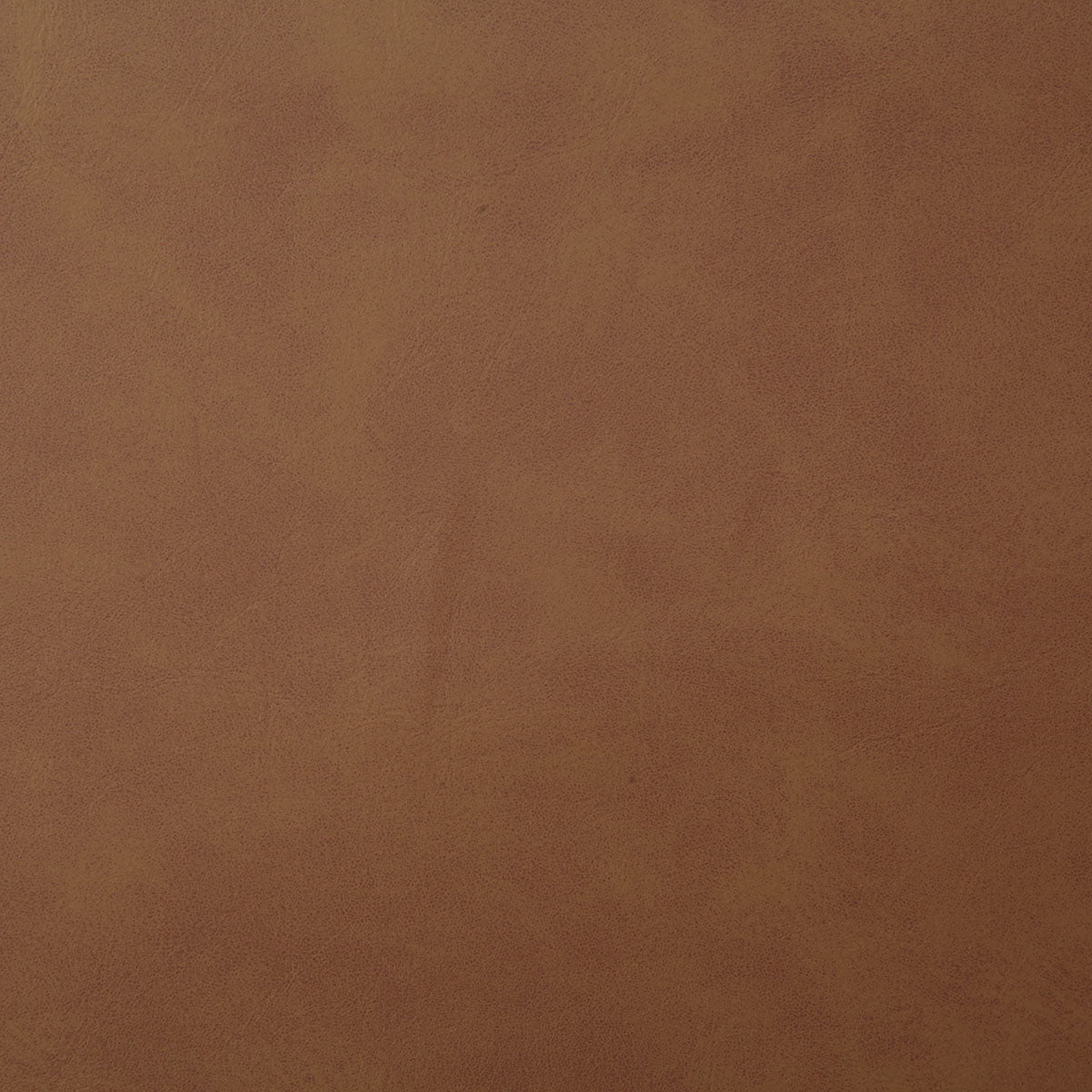 7878-yeehaw-saddle-pindler - Pindler Fabric