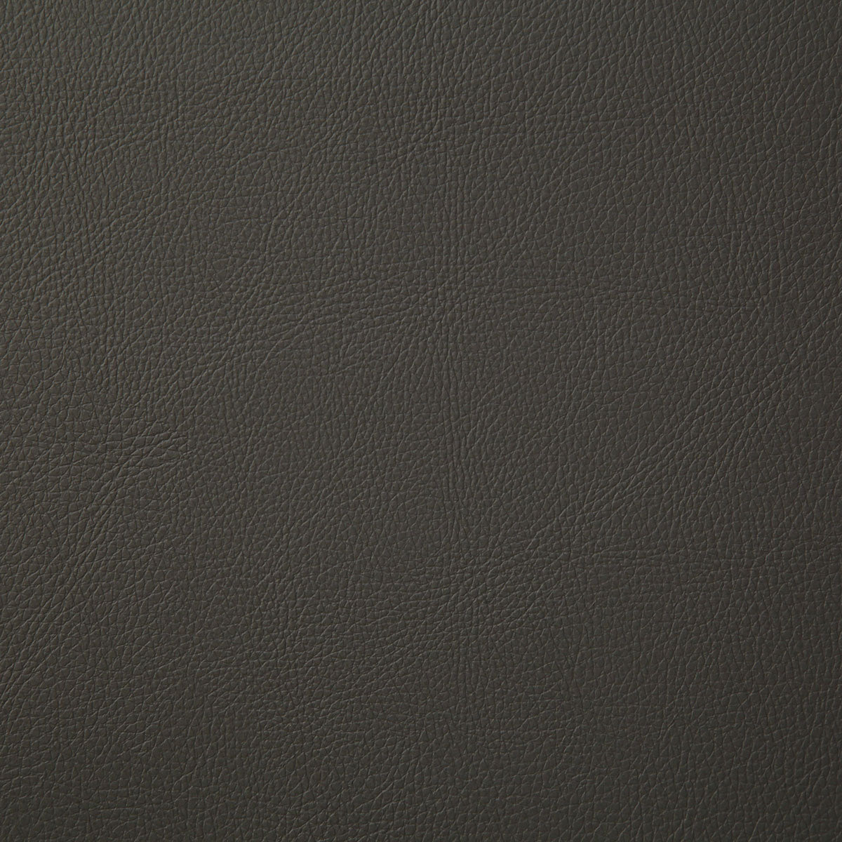 7879-howdy-charcoal-pindler - Pindler Fabric