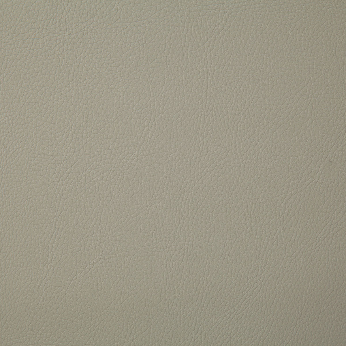 7879-howdy-dove-pindler - Pindler Fabric