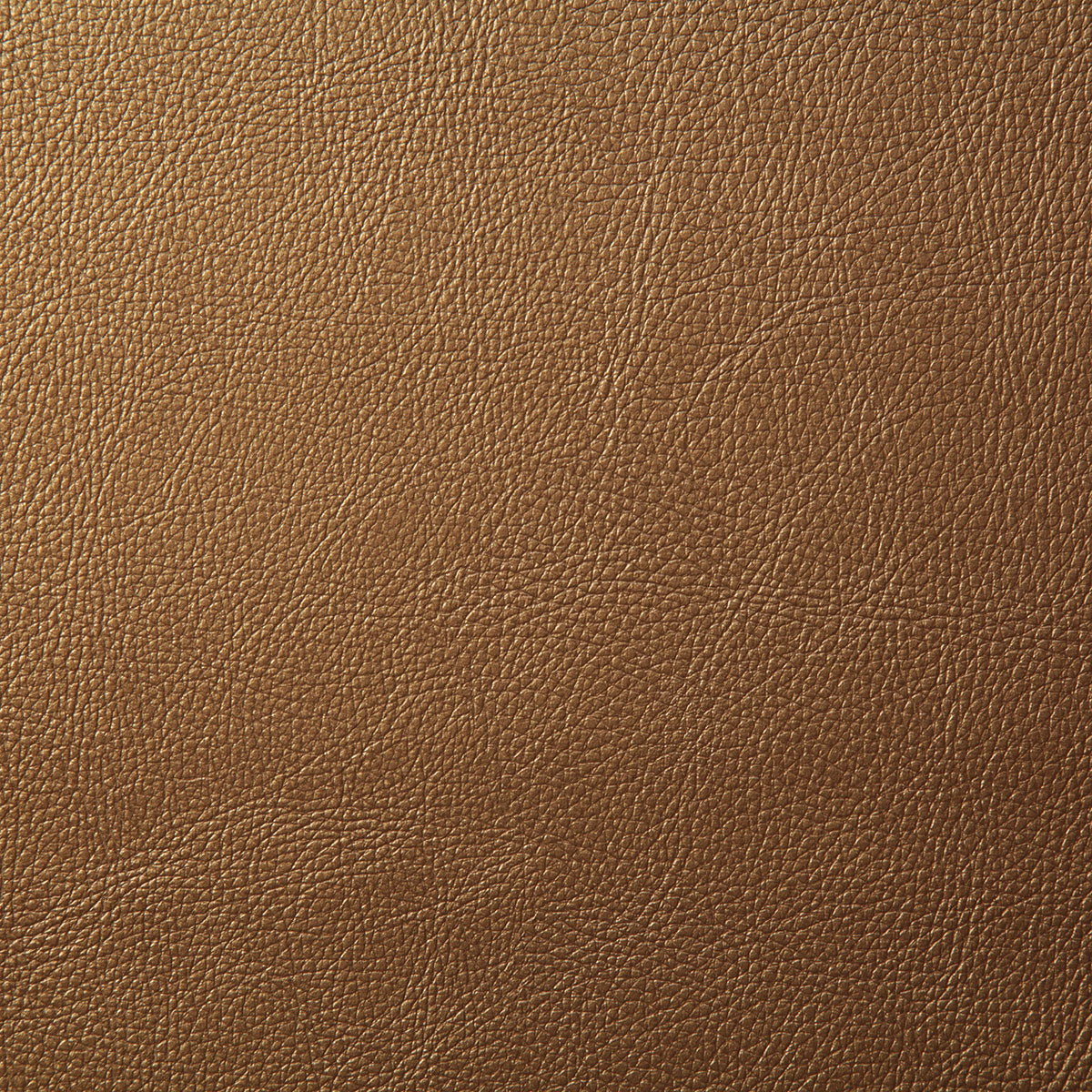 7879-howdy-gold-pindler - Pindler Tela