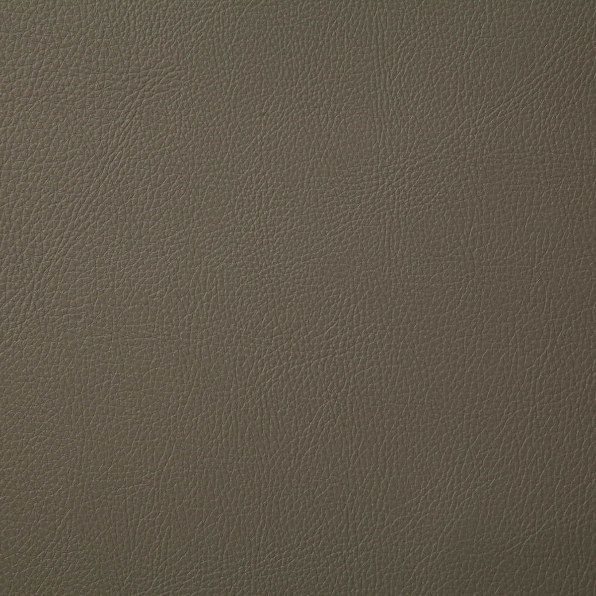 7879-howdy-taupe-pindler - Pindler Fabric