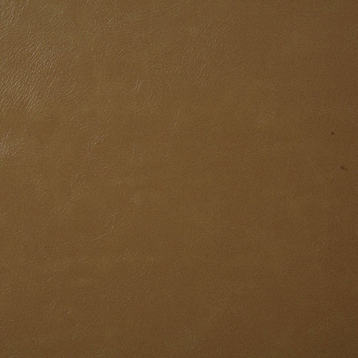 7880-bonanza-butterscotch-pindler - Pindler Fabric