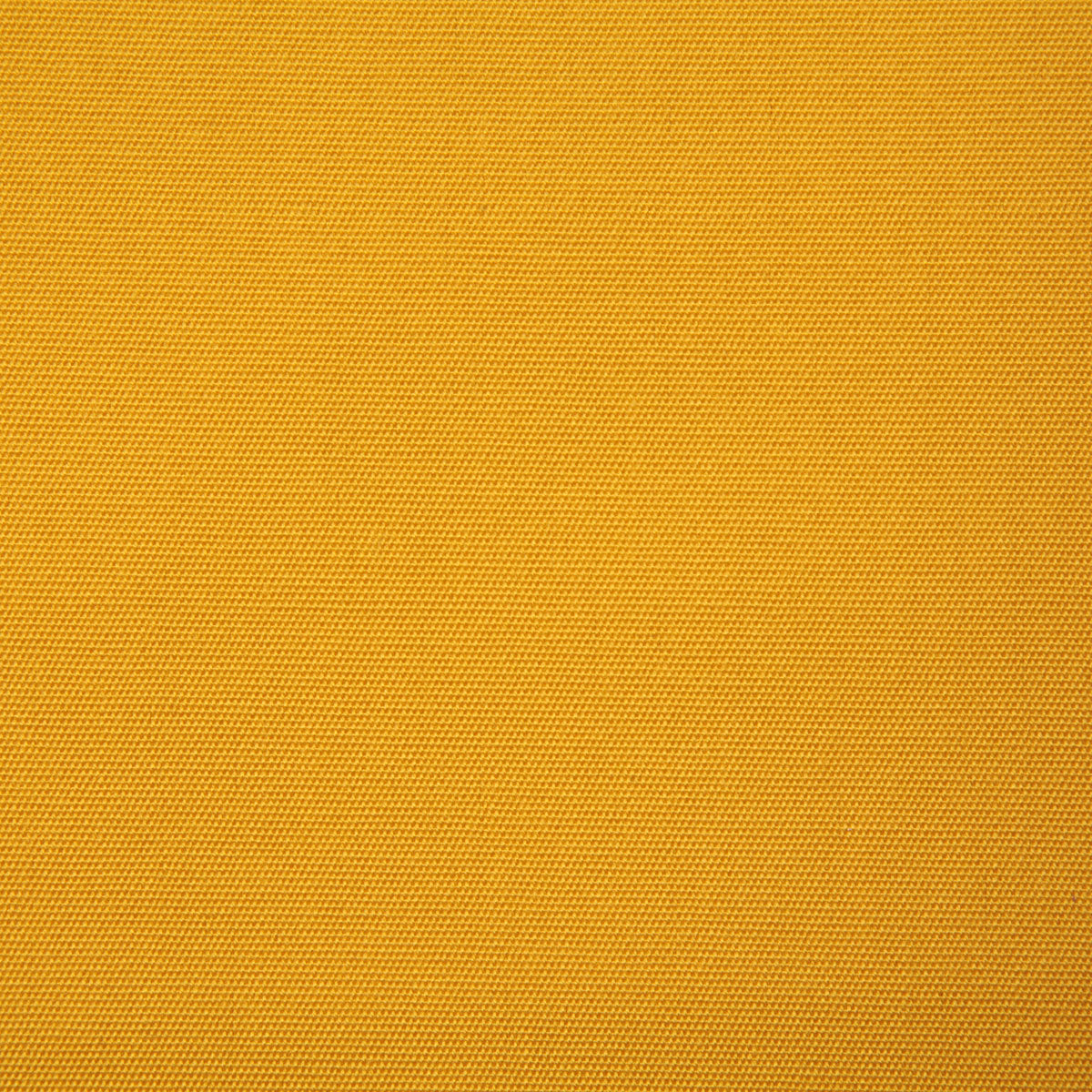 7974-bayshire-marigold-pindler - Pindler Fabric