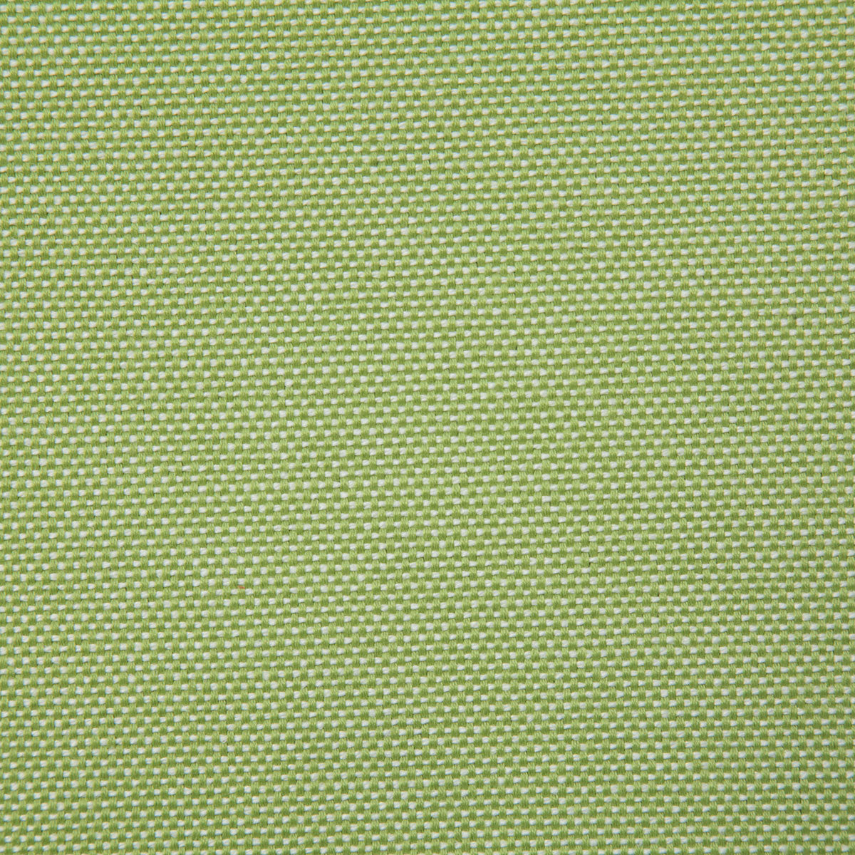 7990-gainsville-citrus-pindler