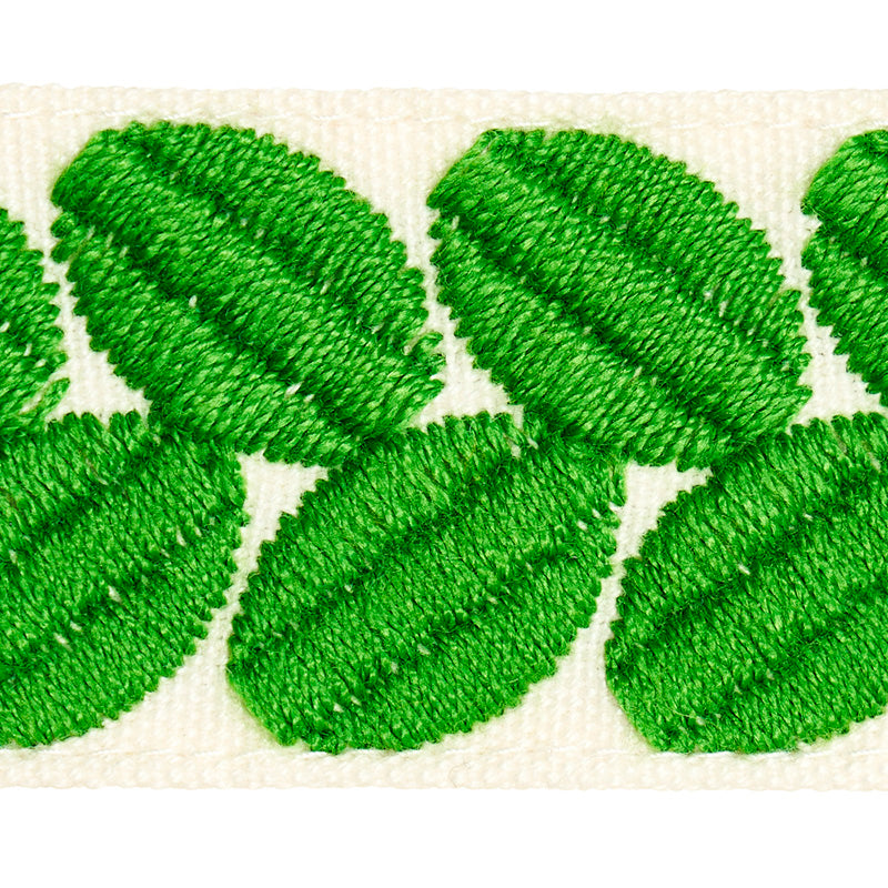 BERKELEY-TAPE-NARROW-LEAF-SCHUMACHER-79913 - Schumacher Recortar
