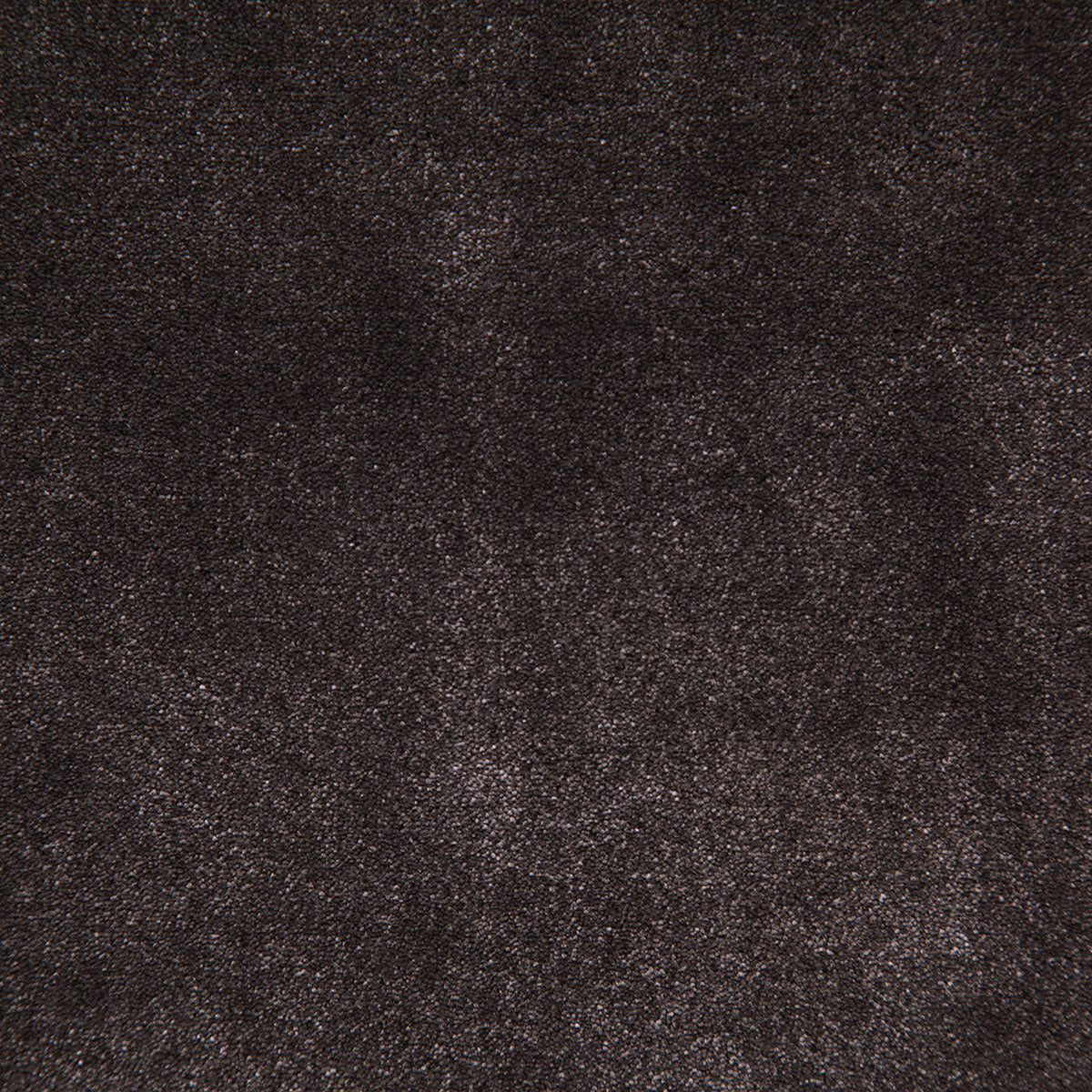 8003-titus-espresso-pindler - Pindler Fabric