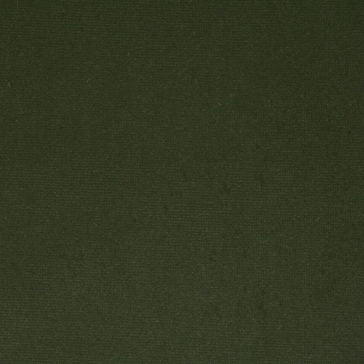 8004-florentina-loden-pindler - Pindler Fabric