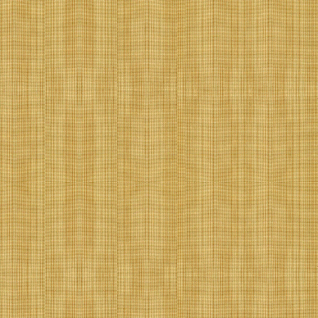 La Reine Strie - Taupe - Brunschwig & Fils Fabric