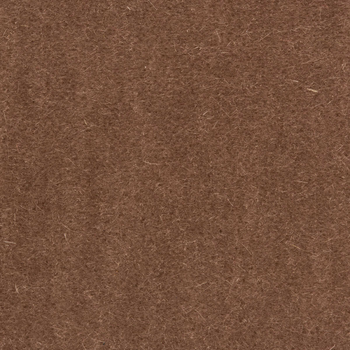 Bachelor Mohair - Dove - BRUNSCHWIG & FILS Tela