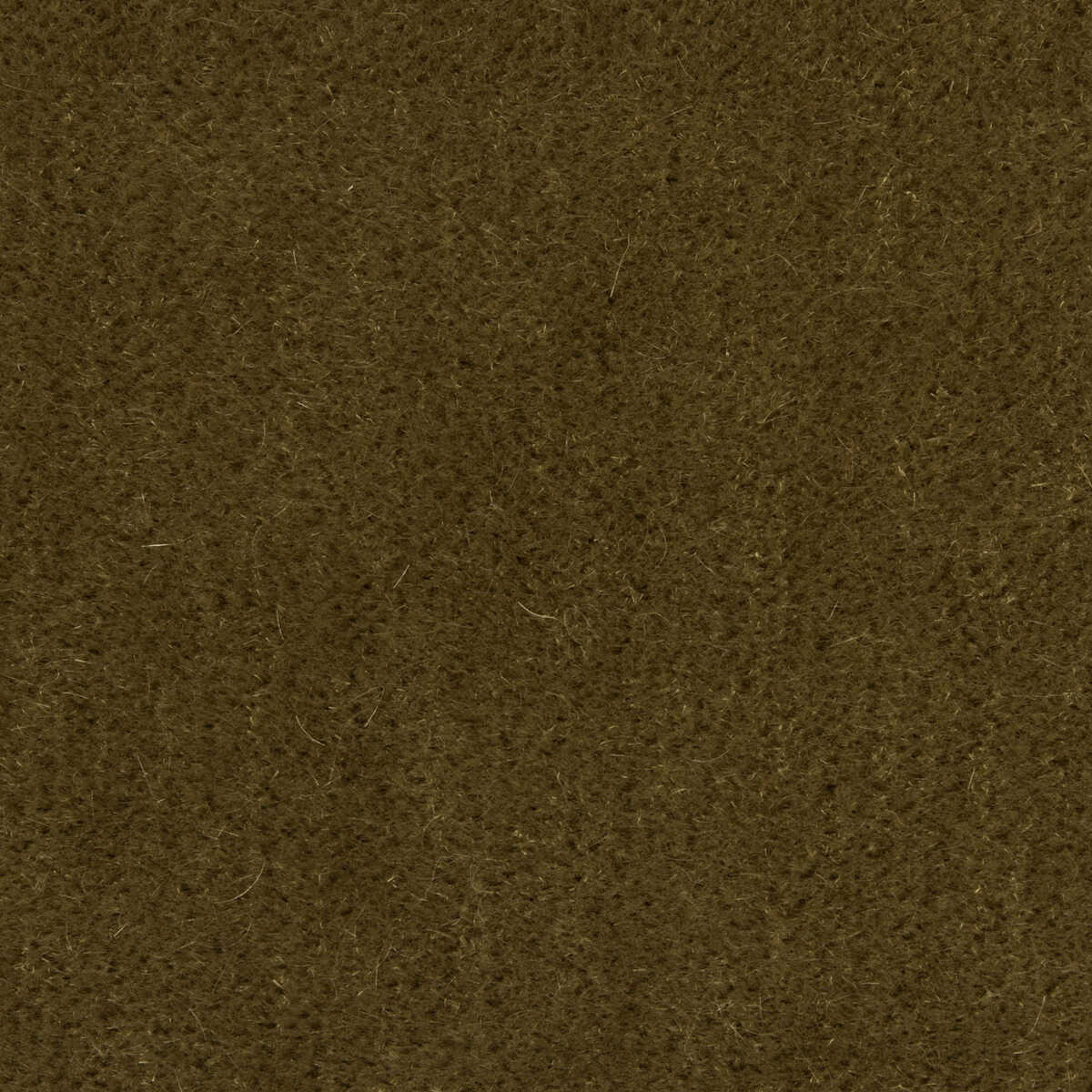 Bachelor Mohair - Khaki - BRUNSCHWIG & FILS Fabric