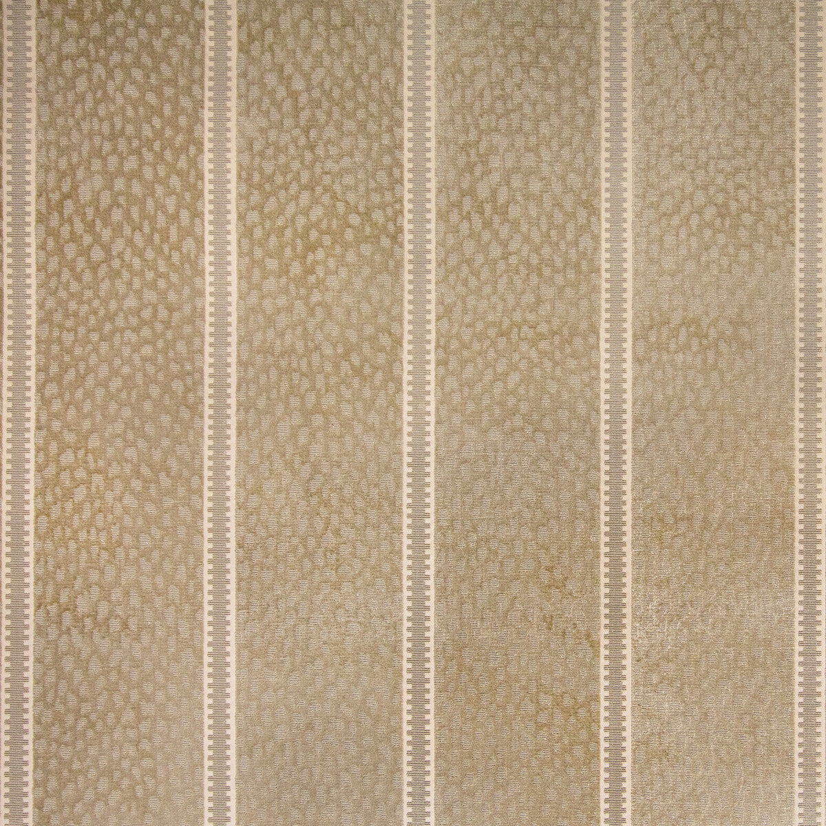 Salvator Velvet - Beige - Brunschwig & Fils Fabric