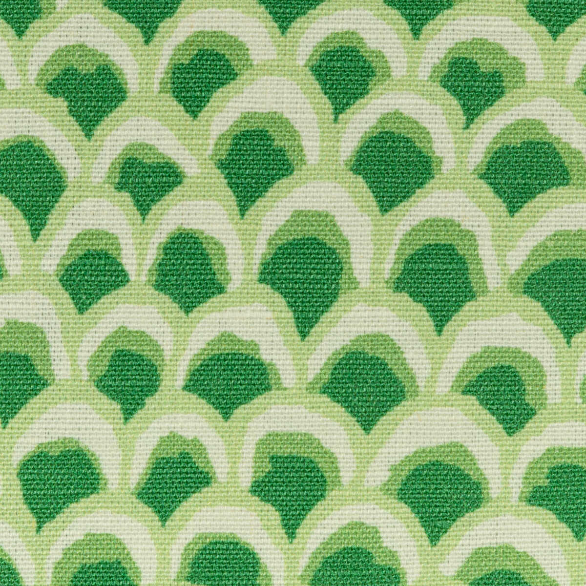 Pave Ii Print - Green - BRUNSCHWIG & FILS Tela