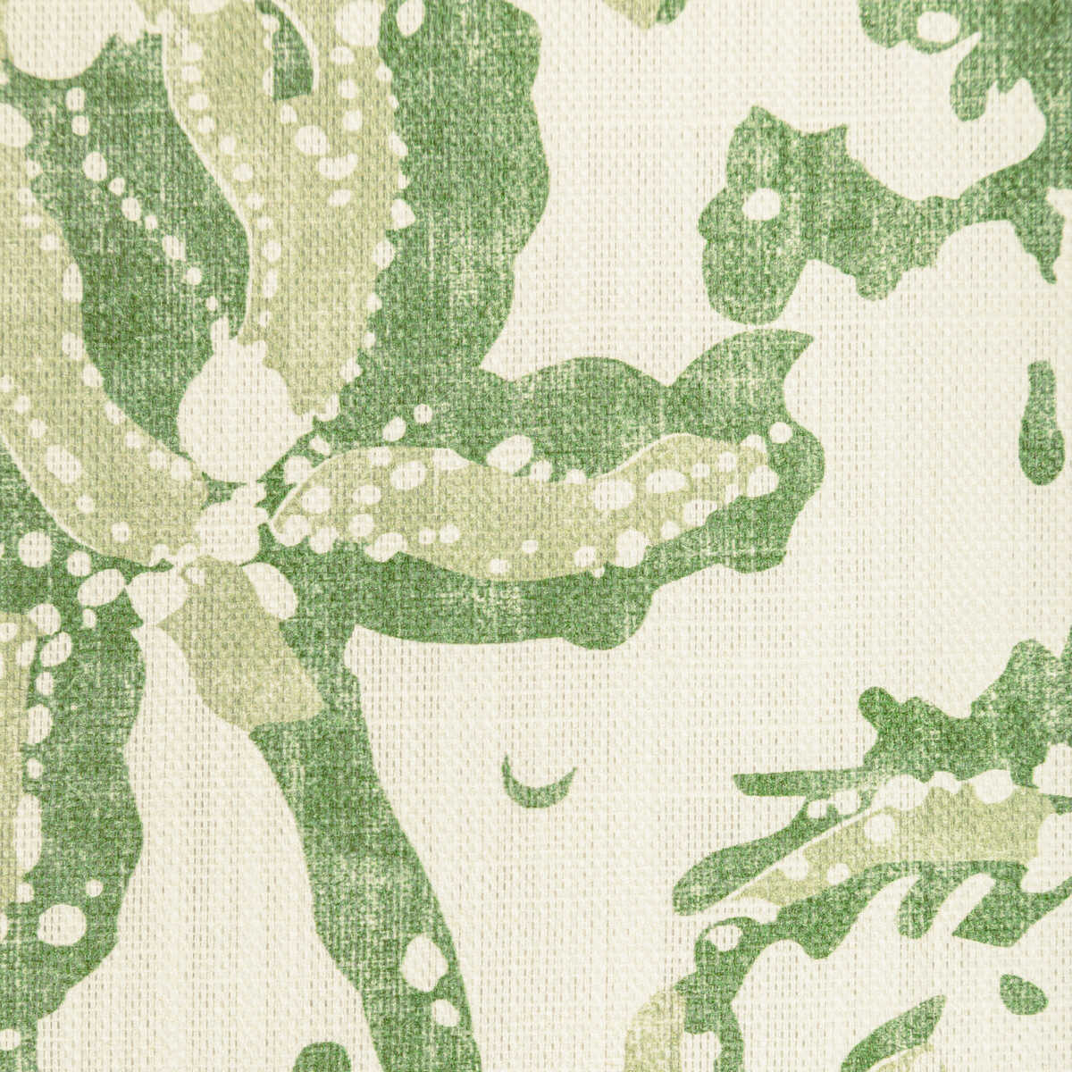 Weymouth Print - Leaf - BRUNSCHWIG & FILS Fabric
