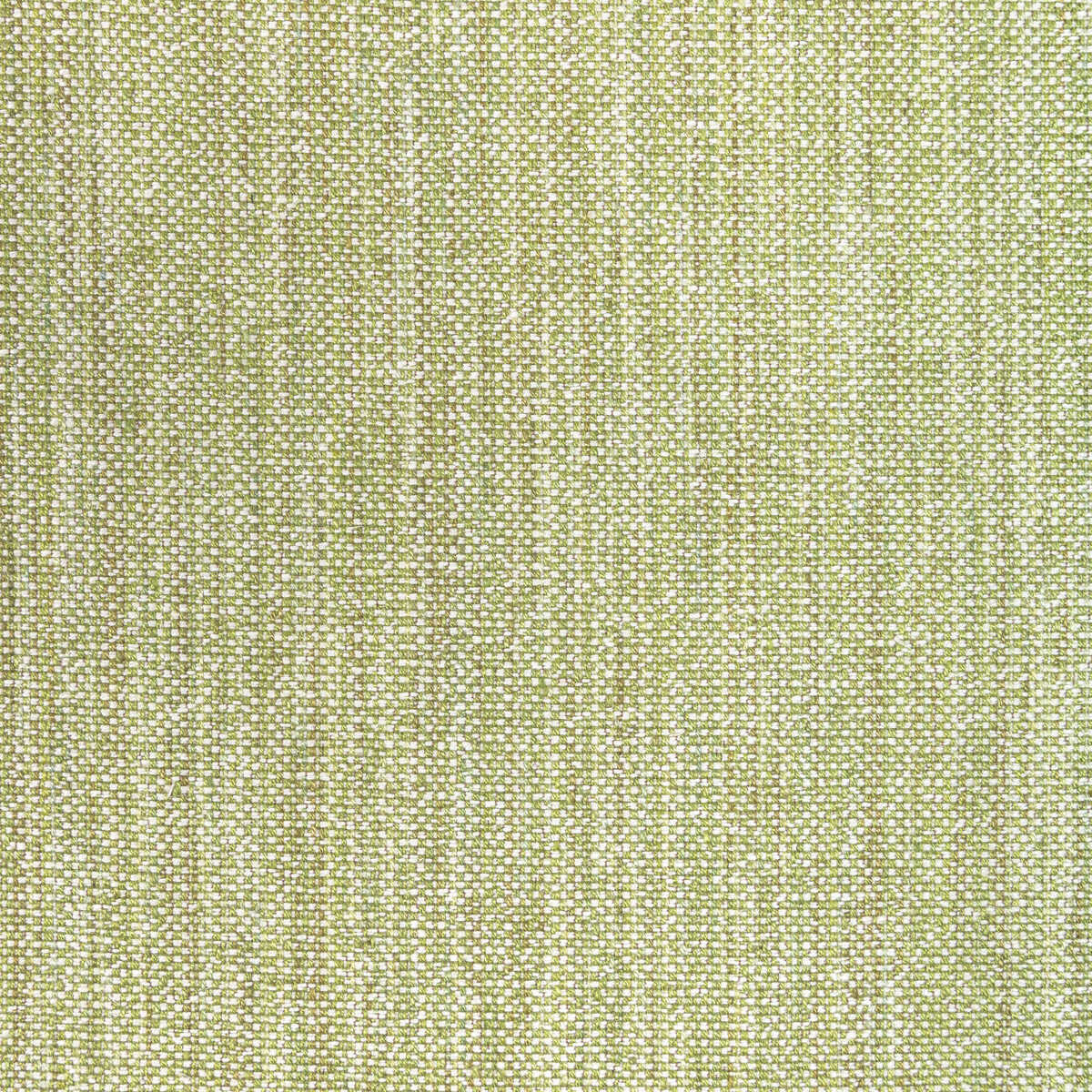 Rospico Plain - Leaf - BRUNSCHWIG & FILS Fabric