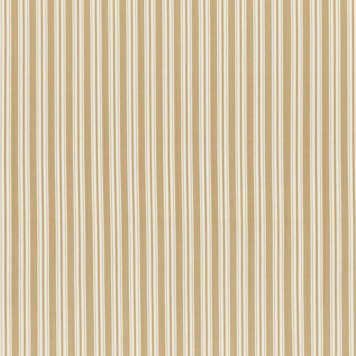 Selune Stripe - Beige