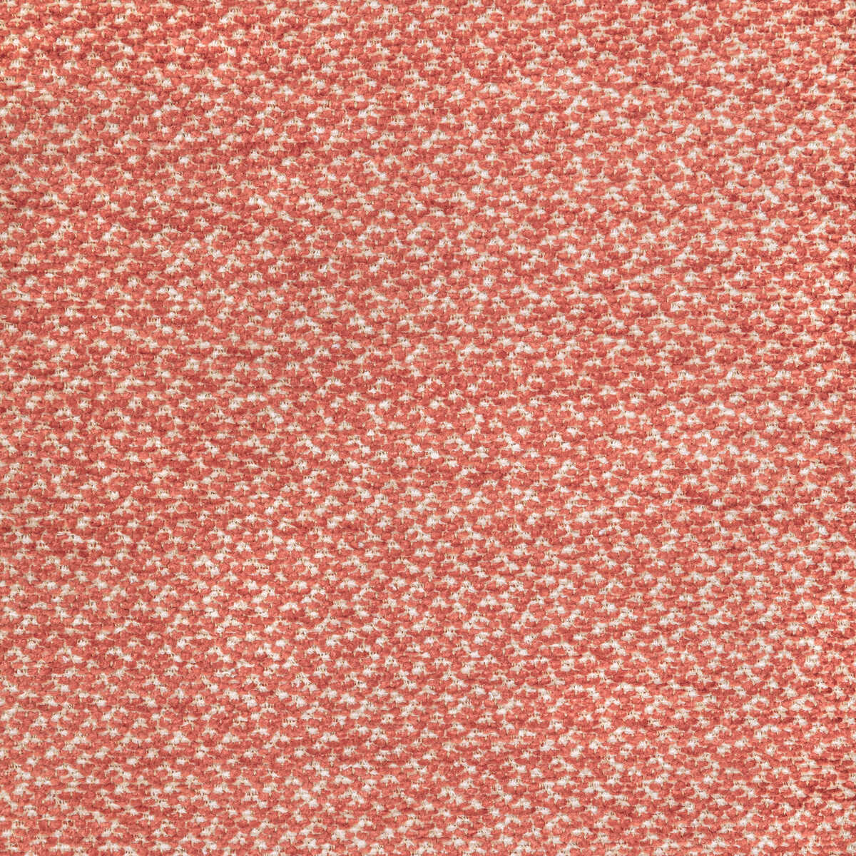 Sasson Texture - Coral