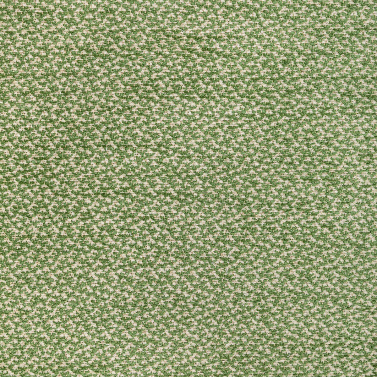 Sasson Texture - Green