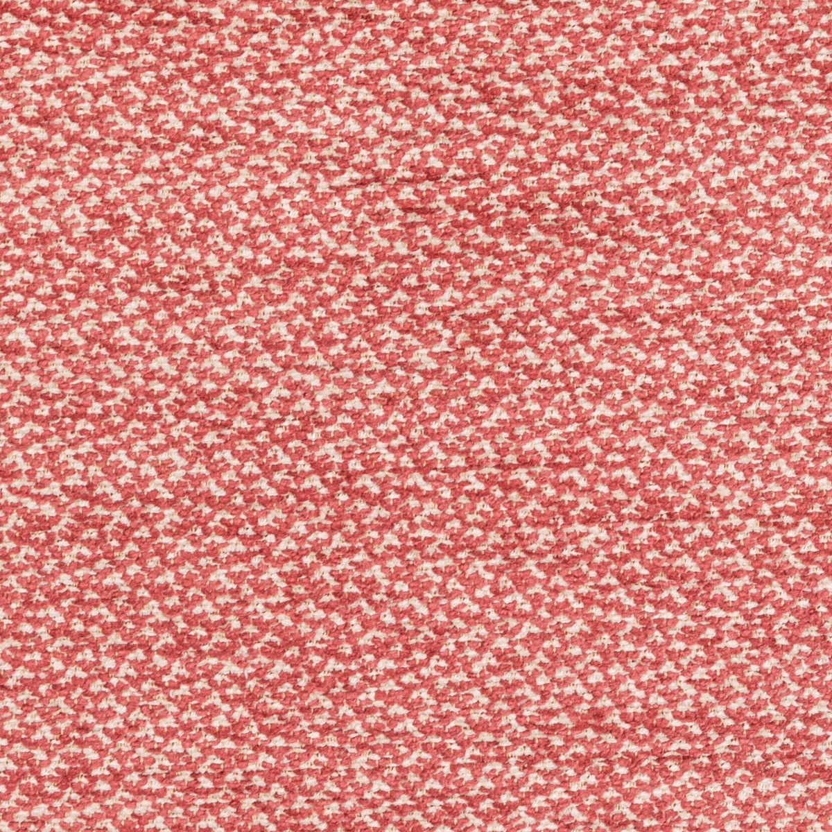 Sasson Texture - Pink