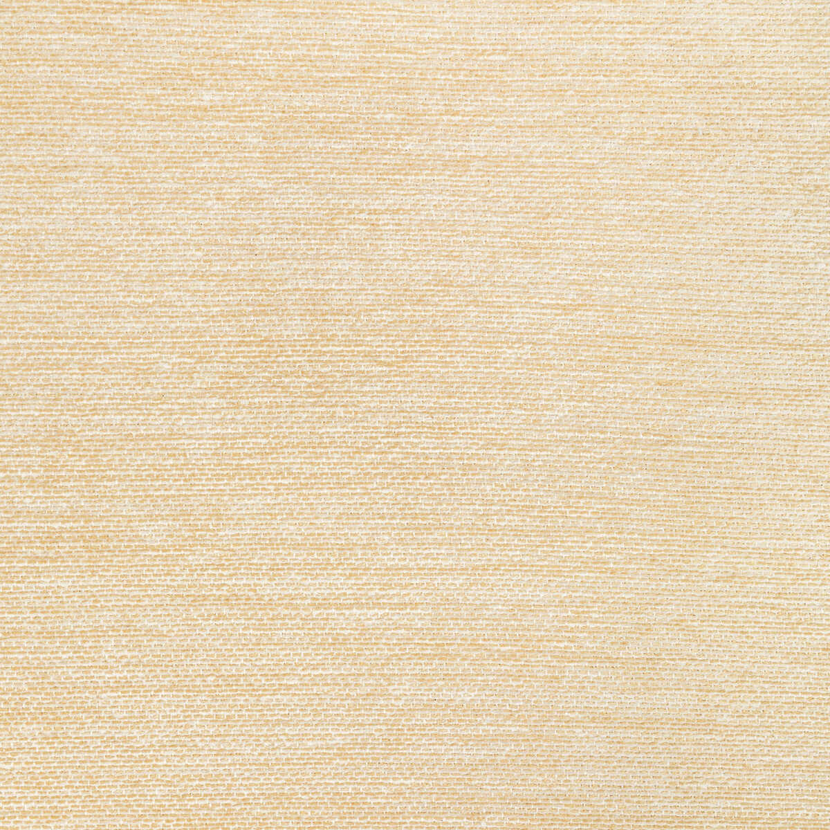Cognin Texture - Cream