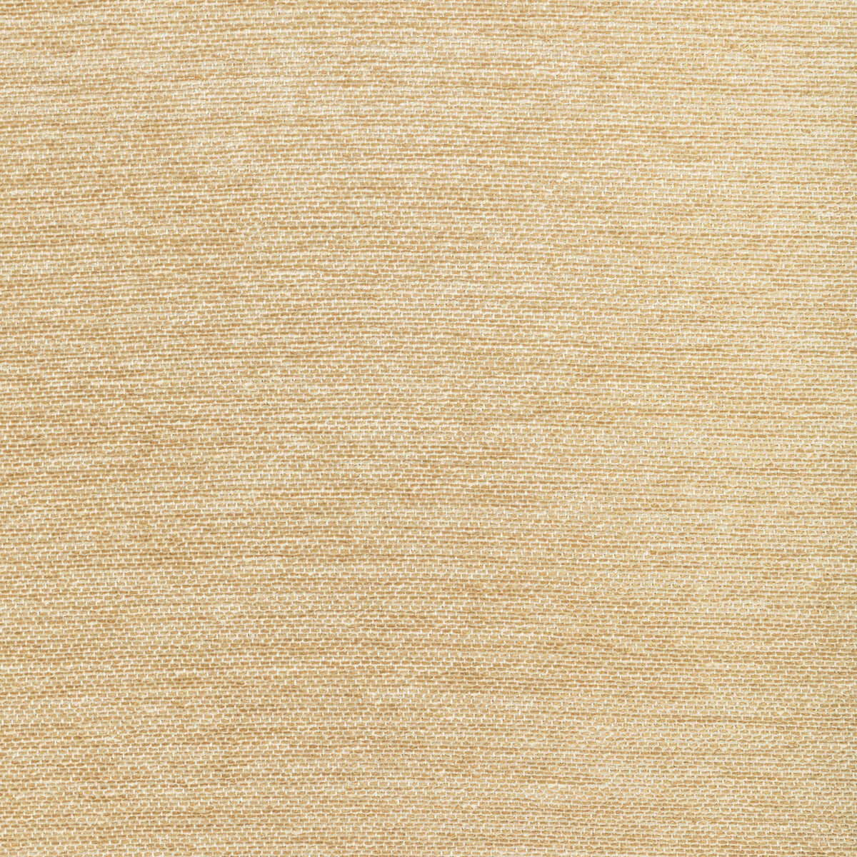 Cognin Texture - Sand