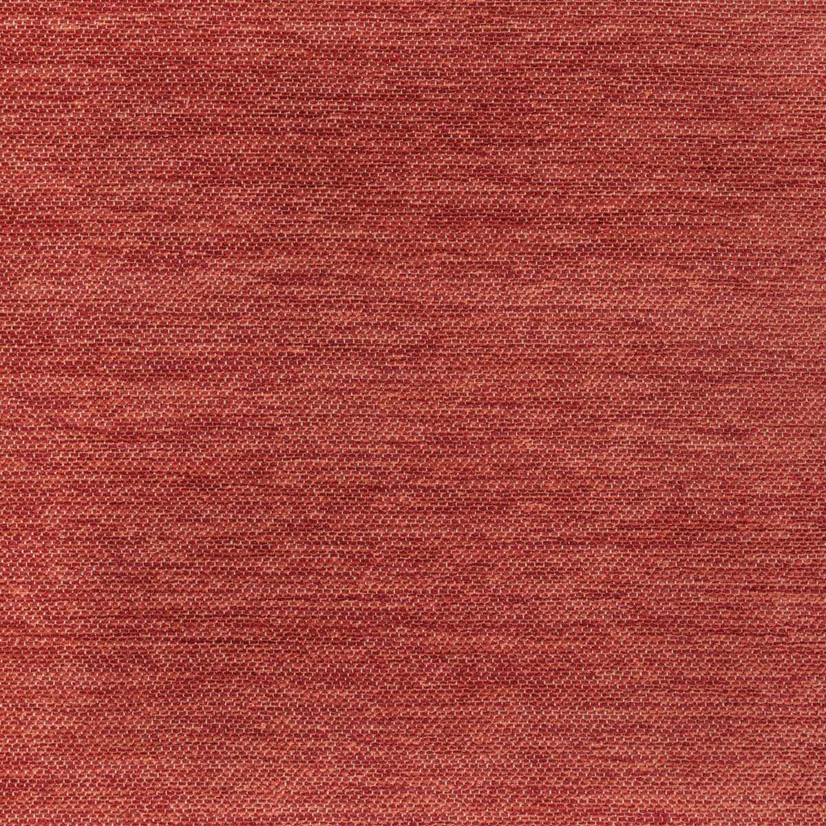 Cognin Texture - Spice