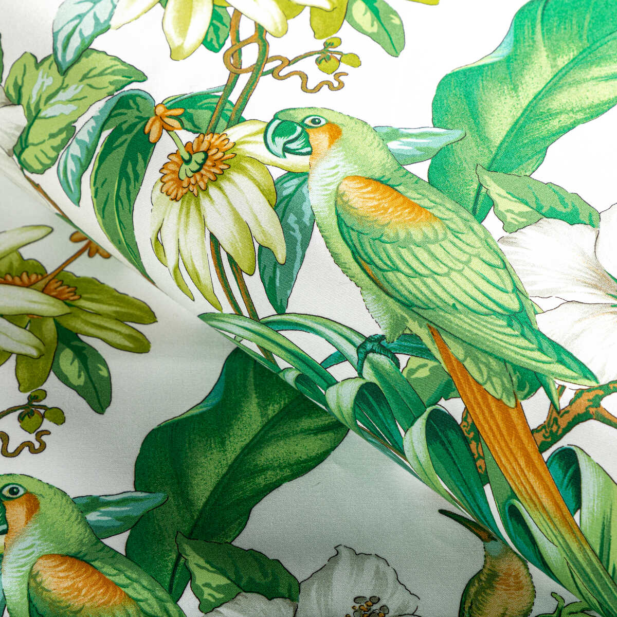 Anima Print - Leaf - BRUNSCHWIG & FILS Fabric
