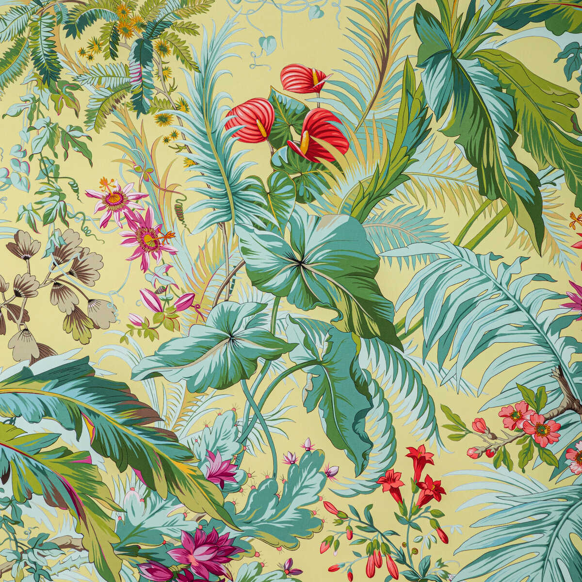 Majorelle Print - Sun