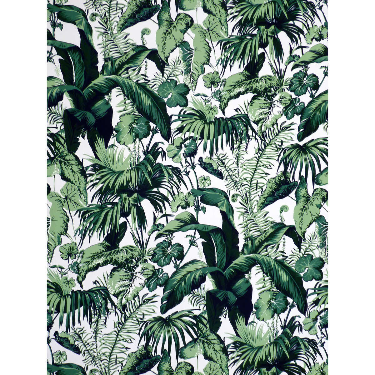 Feuillage Ii - Blanc - BRUNSCHWIG & FILS Fabric