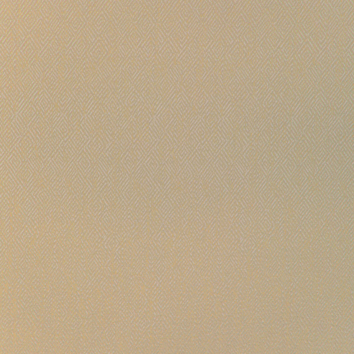 Pipet Texture - Wheat - BRUNSCHWIG & FILS Fabric