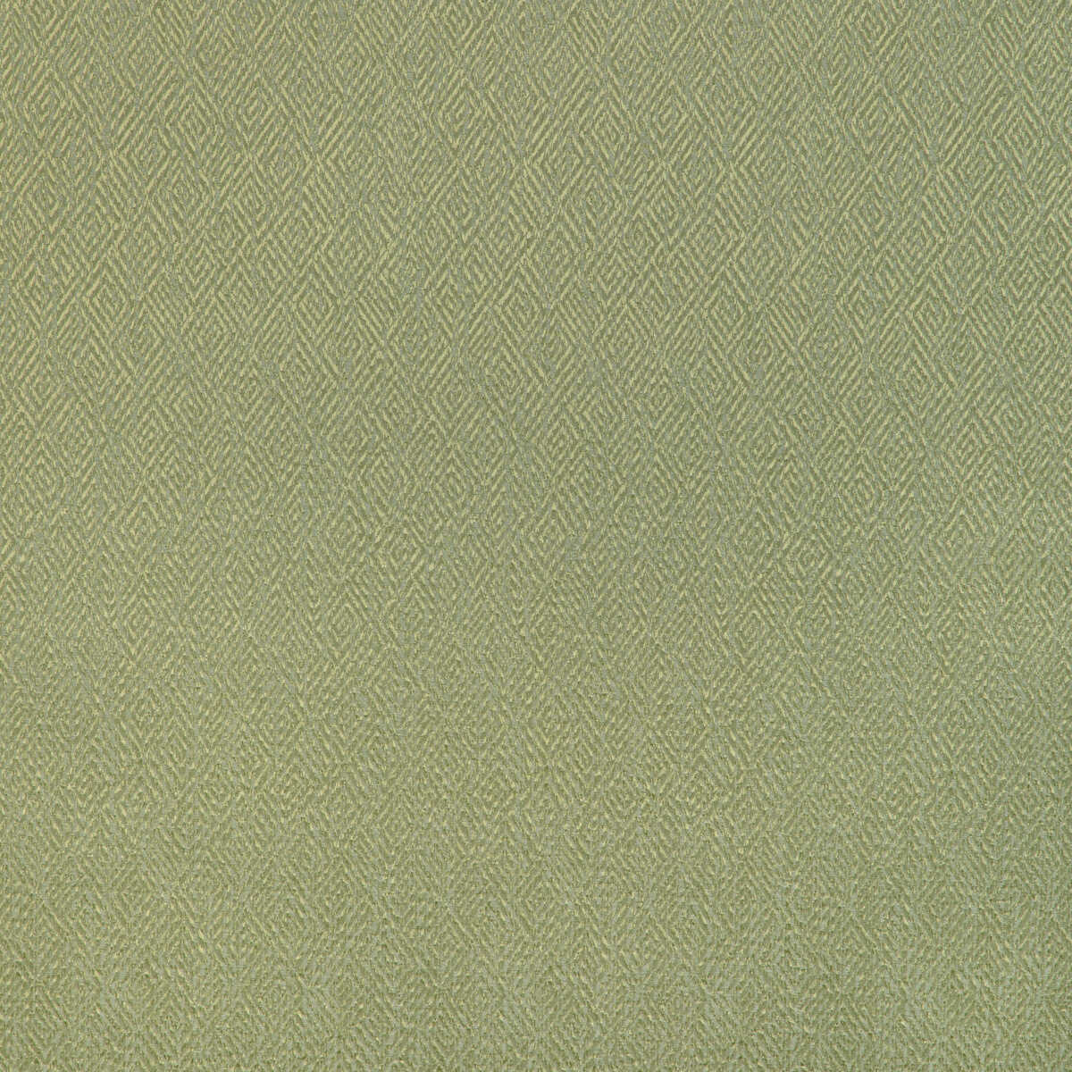 Pipet Texture - Leaf - BRUNSCHWIG & FILS Fabric
